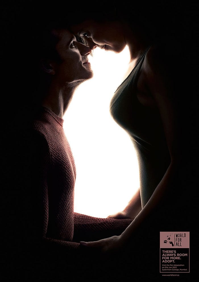 campana de adopcion ilusion optica 2