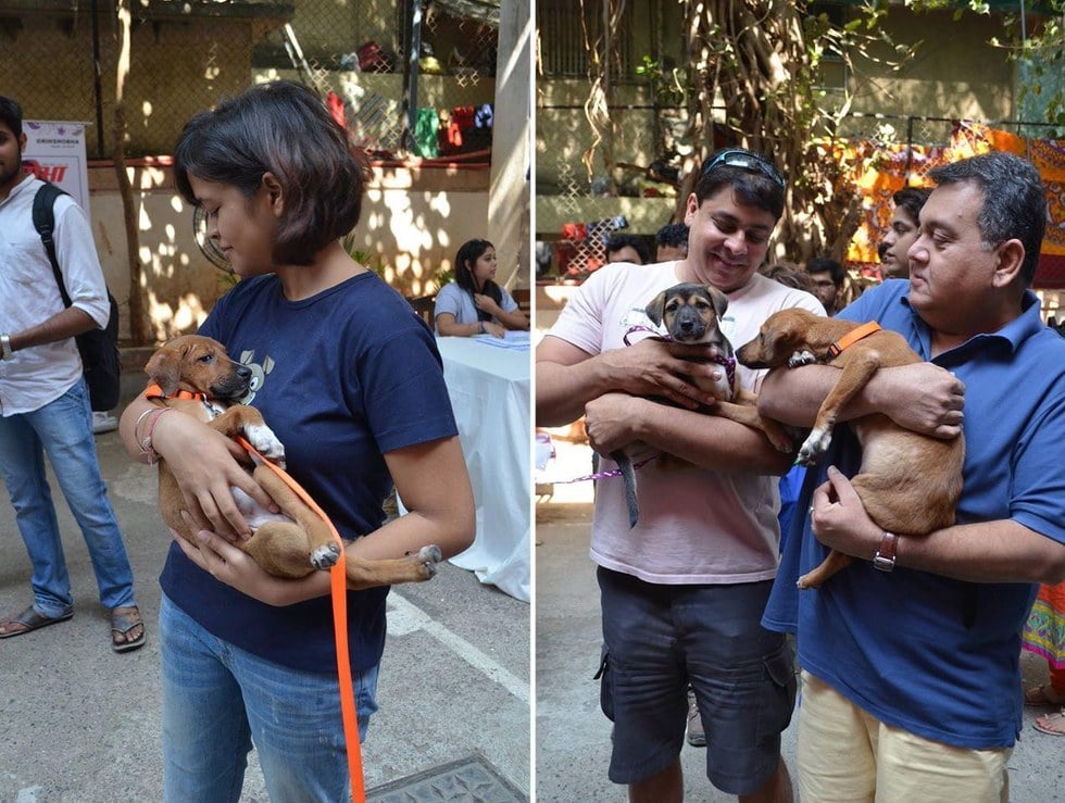 campana de adopcion ilusion optica 4