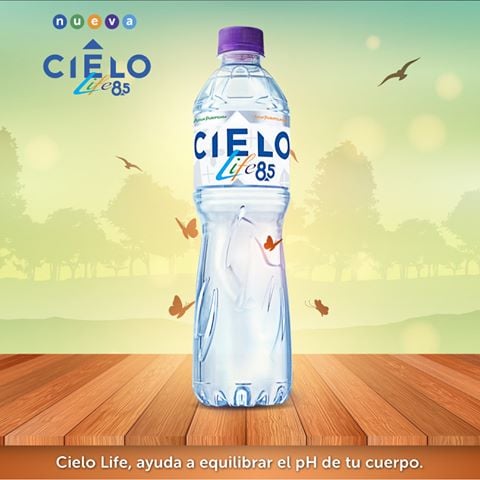 13258954 1076067335805385 358600558 n