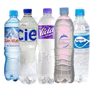 Botellas de Agua de Diferentes Maracas 650 ml1