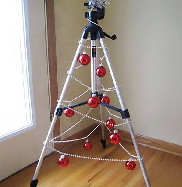 10410902 10153395565206038 8023400723119881860 n