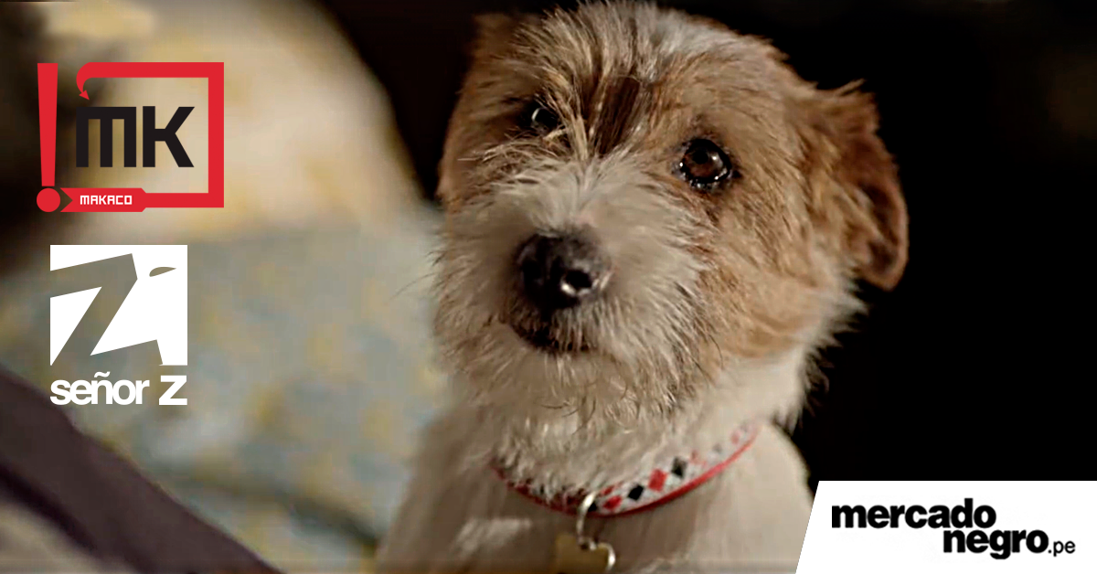 El amor por tu mascota puede alegrarlo todo, mira el nuevo spot de Señor Z para Mimaskot 1 138ae20e8ebe31a2a5d7f05975bac1ee
