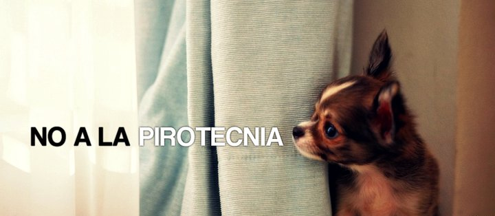 Campaña concientizó acerca del uso de la pirotecnia junto a reconocidos personajes 1 5fa1ec875cb11b45412d861d40003c9e
