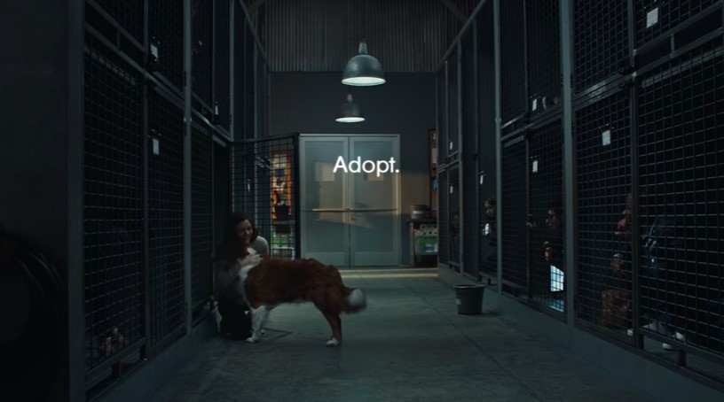 Pedigree lanza una creativa campaña promoviendo la adopción 1 pedigreee