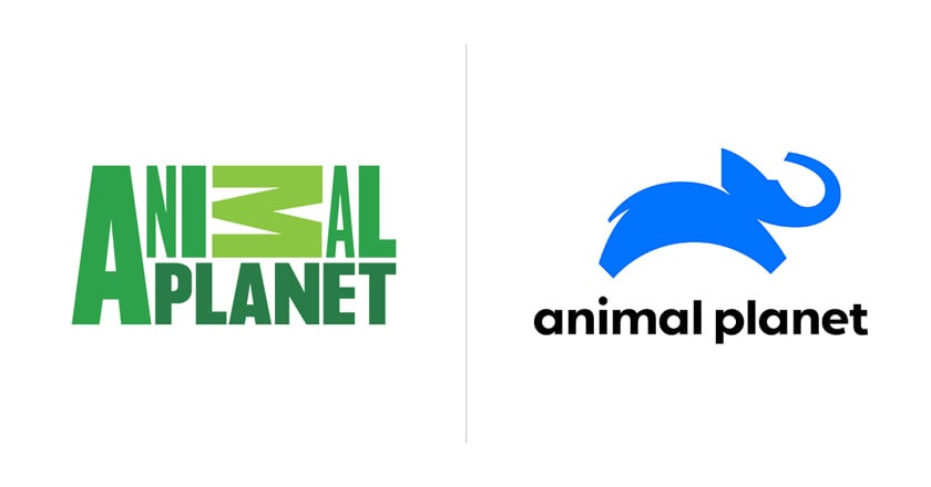 Animal Planet reinventó su logo 1 antes y despues animal planet portal 1