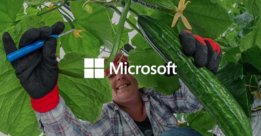 Microsoft cultiva pepino con IA y gana premio 1 Pepinos cultivados por Microsoft portal
