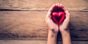 hands female giving red heart 11304 570