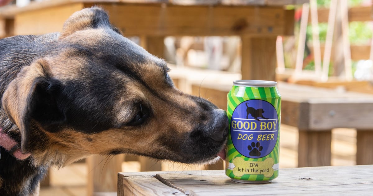 good boy dog beer justbeer