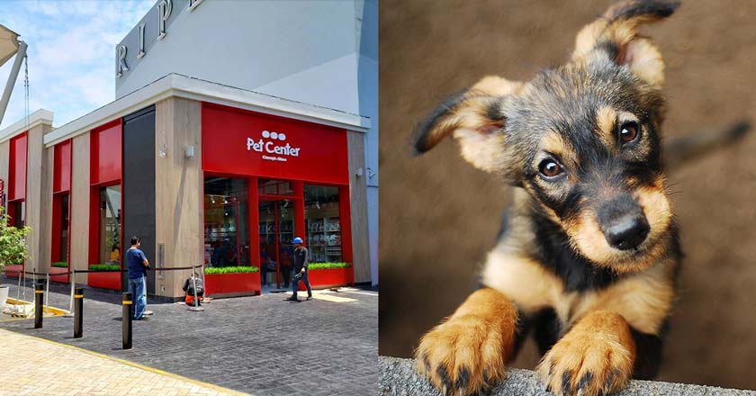 Inauguran primer centro de adopción de mascotas en el Jockey Plaza 1 Inauguran primer centro de adopción de mascotas en el Jockey Plaza