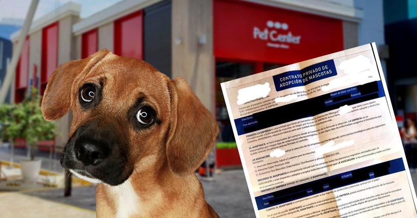 Filtración de contrato de adopción genera crisis para Pet Center 1 Filtración de contrato de adopción genera crisis para Pet Center
