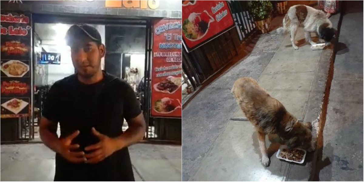 Restaurante peruano prepara menú especial para perritos de la calle 1 collage 4