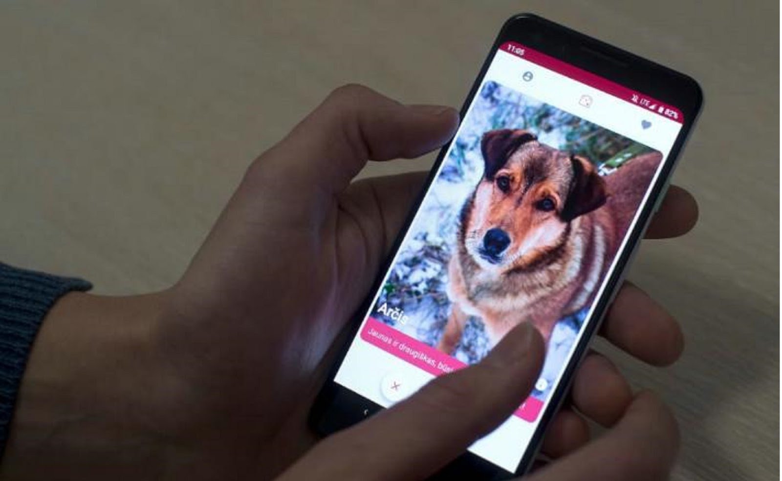 GetPet, el “Tinder” para hacer match con tu mascota ideal 1 tinder app mascota ideal perritos