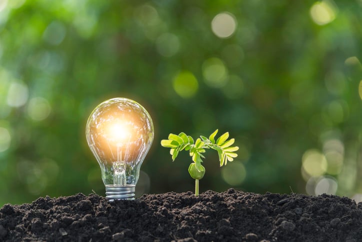 Día Mundial del Medio Ambiente: ¿Qué están haciendo las marcas para cuidar el planeta? 1 Día Mundial del Medio Ambiente: ¿Qué están haciendo las marcas para cuidar el planeta?