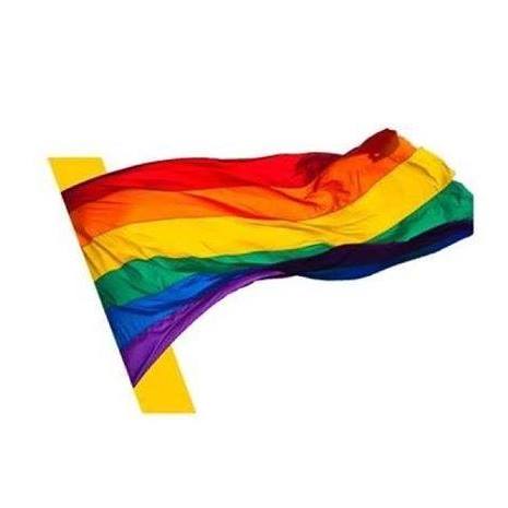 Día del orgullo: Marcas y agencias intervienen su logo como respaldo a comunidad LGTBQ+ 5 tbwa peru bandera gay