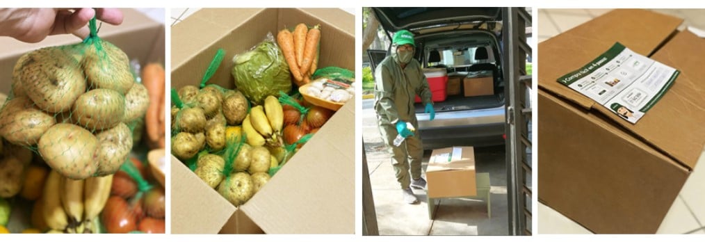 amagreen productos organicos naturales