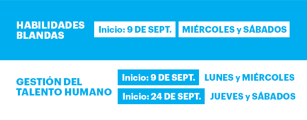 ¡ Aprovecha el CYBER ISIL ! 6 4 isil diplomados