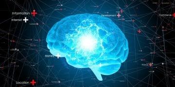 Dónde estudiar neuromarketing