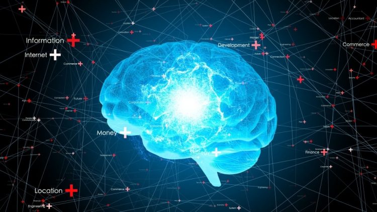 ¿Dónde estudiar online cursos de Neuromarketing? 1 Dónde estudiar neuromarketing
