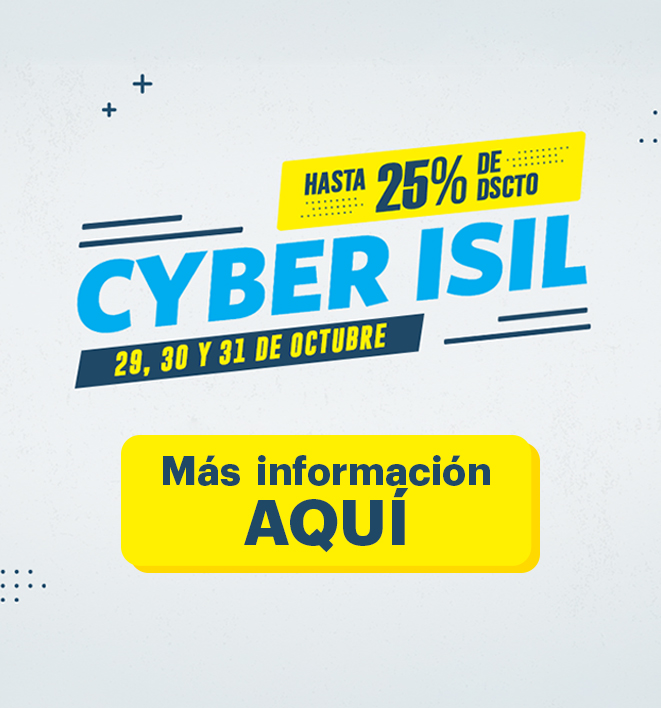 formulario cyber isil diplamdos 661x708 1