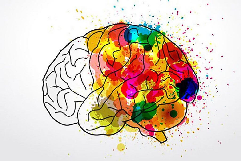 Un cerebro con colores 
