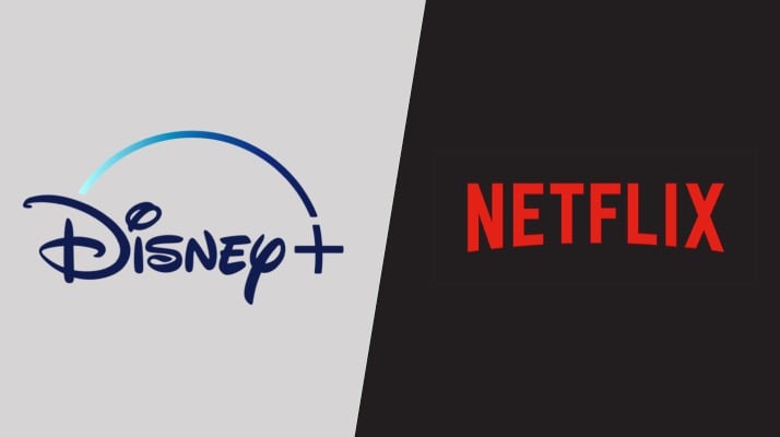 Netflix da consejos de bienvenida a Disney+ tras su llegada a Latinoamérica 1