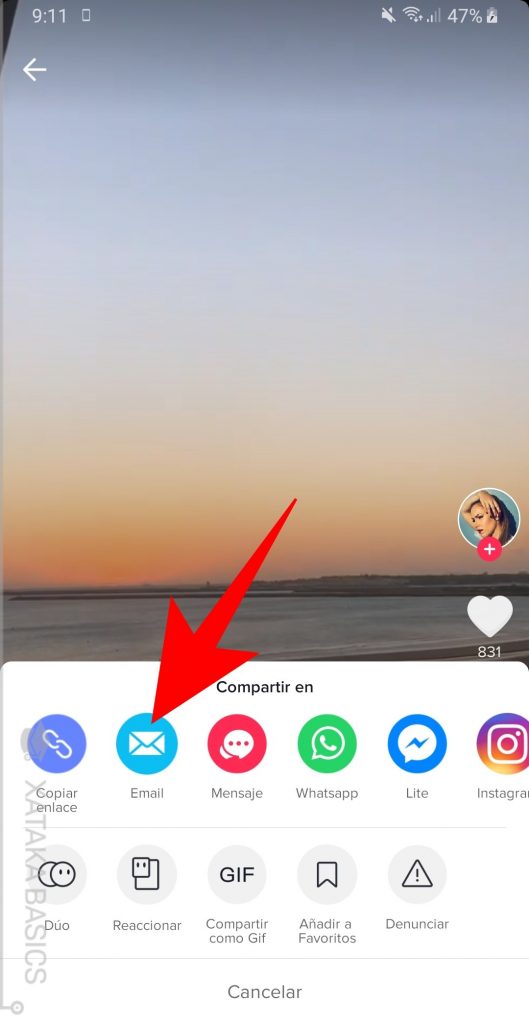 ¿Cómo descargar vídeos de TikTok? 6 videosdetiktokemail