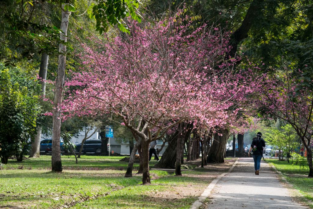 WhatsApp Image 2021 02 19 at 8.55.35 PM