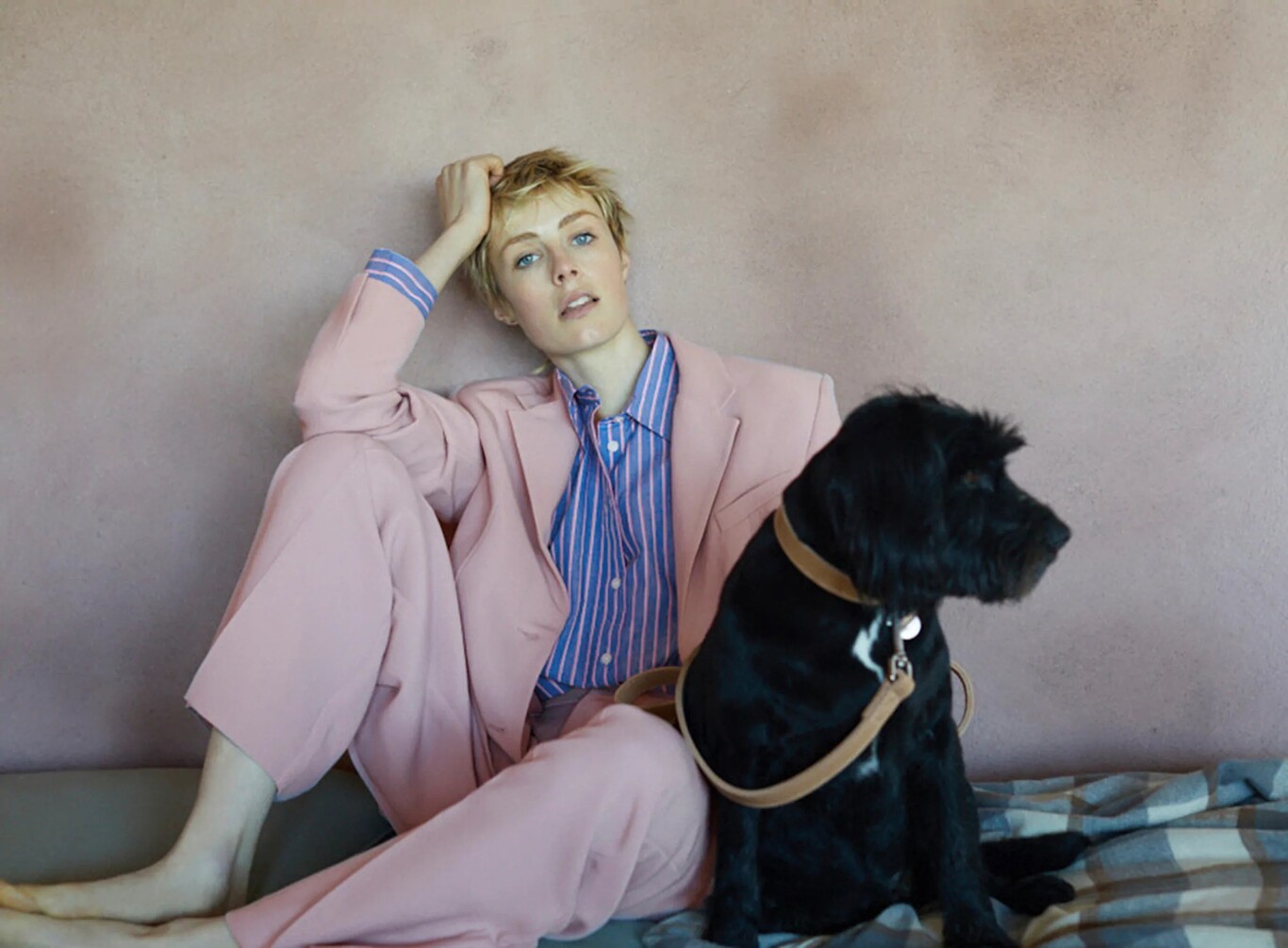 Zara lanza su primera colección de ropa para perros 1 zara pet4