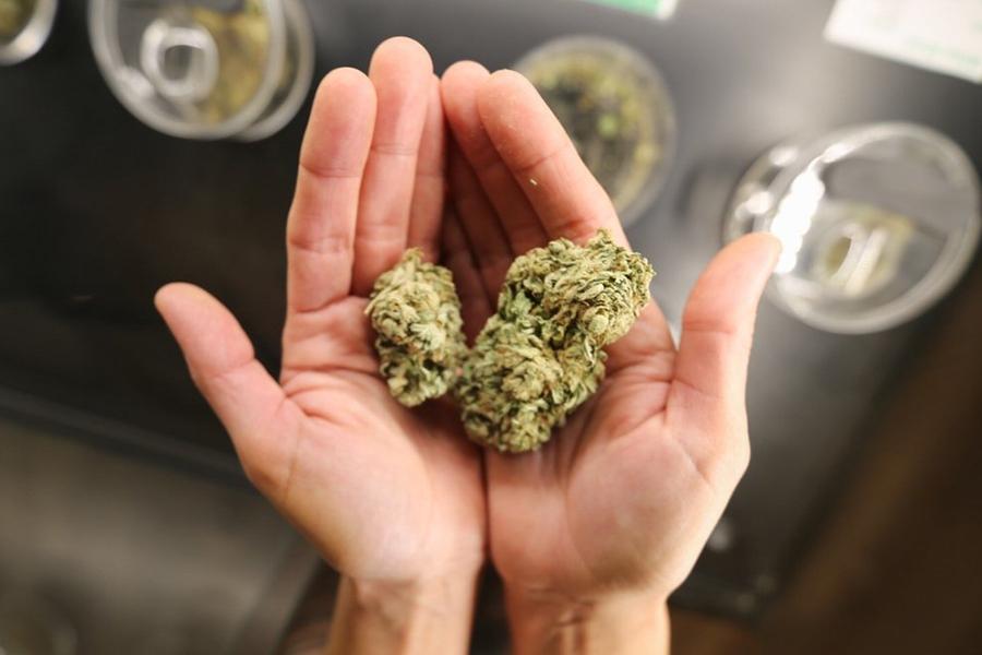 Estudio encuentra que la gente usa la recreativa como marihuana medicinal 1