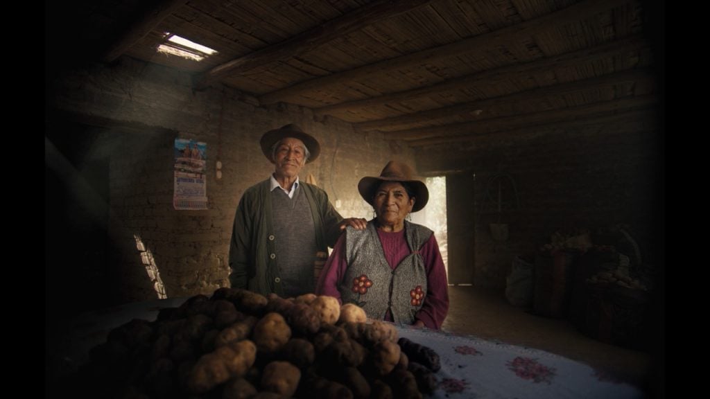 WhatsApp Image 2021 04 12 at 12.46.41 PM