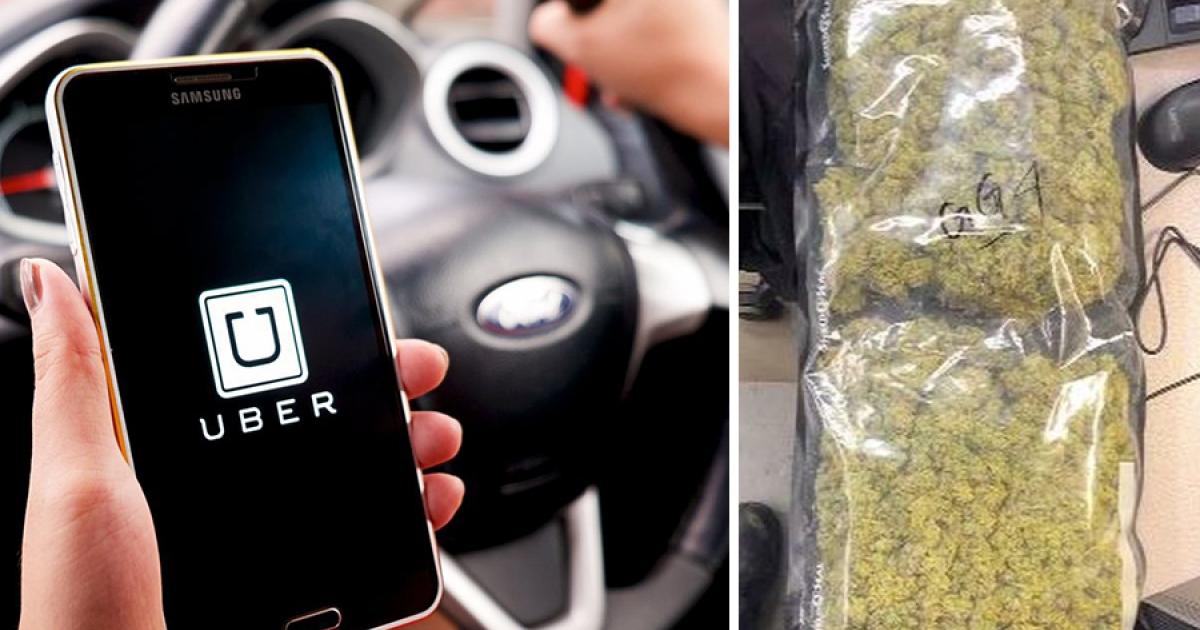 Delivery de cannabis: La nueva estrategia de Uber para potenciar su participación en el mercado 1 marihuana uber