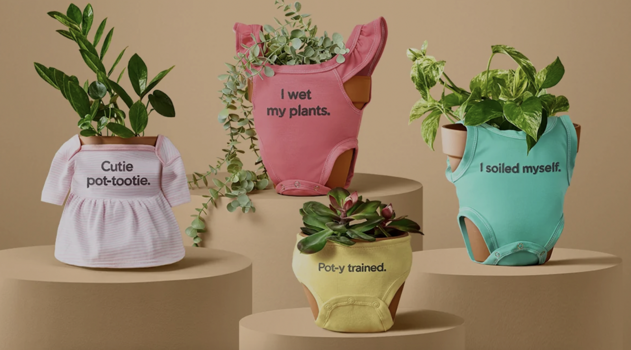 Esta empresa de jardinería lanzó su primera colección de "ropa para plantas" (y no es broma) 1 ropa plantas