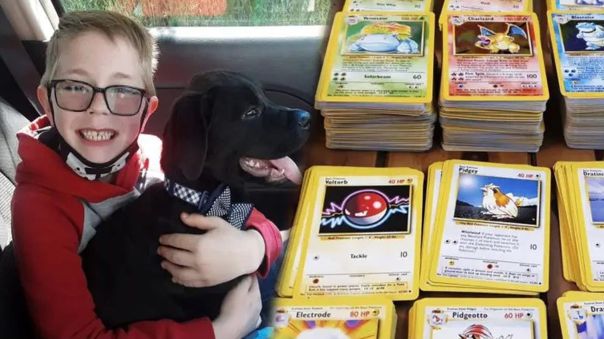 Nintendo premia a niño que vendió su colección de tarjetas de Pokémon para operar a su perro 2 352735 1101654