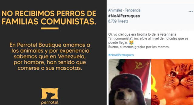“No recibimos perros de familias comunistas”: Hotel canino es tachado de extremista por su radical postura política en Perú 1 60ae75591d512d2a8626eb45
