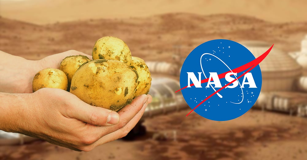 Perú toma la delantera en exportación a Marte con el único alimento hasta ahora cultivable fuera de la tierra 1 Por que la papa peruana es hasta ahora el unico tuberculo exportable a Marte