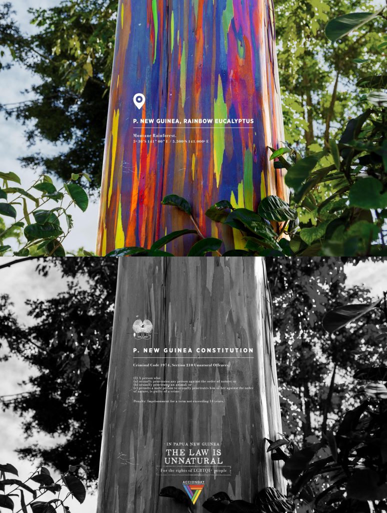 accion gay p new guinea