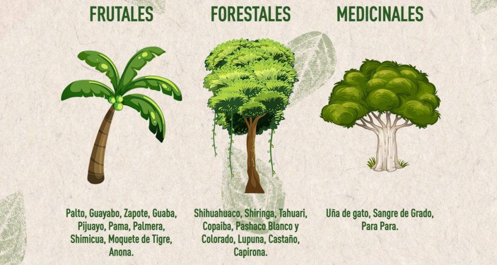 especies arboles shick
