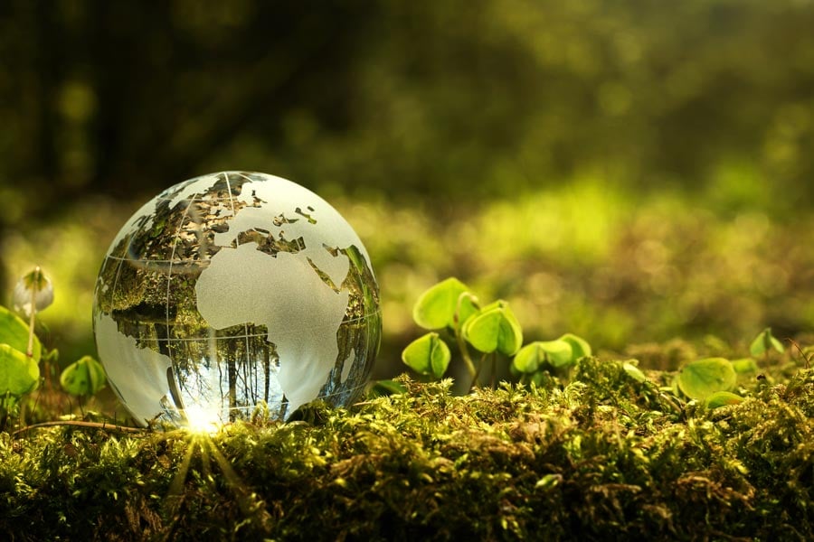 Top 7 de proyectos comerciales-tecnológicos que dan cátedra de transición verde y rentable 1 6 negocios verdes