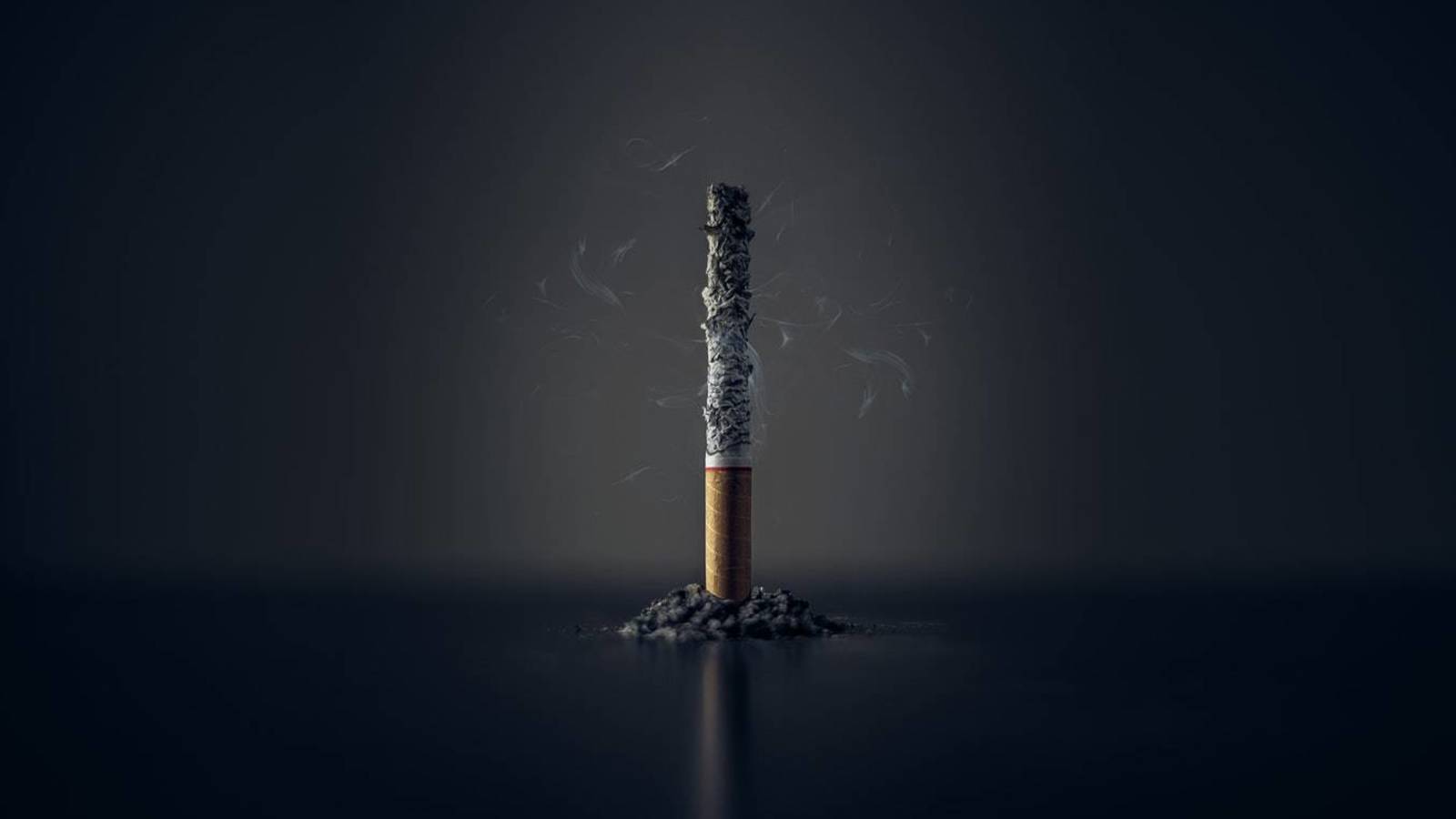 Philip Morris paraliza producción de Marlboro por 24 horas en el marco del Día Mundial Sin Tabaco 1 dia mundial sin tabaco 10 trucos medicos para dejar de fumar definitivamente