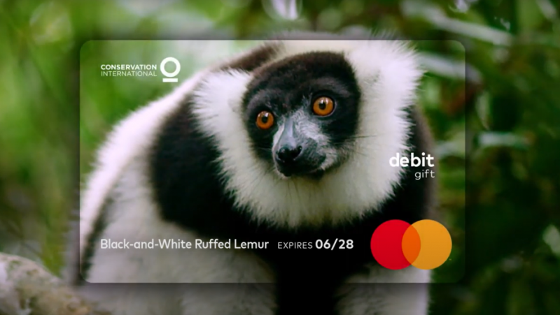 Mastercard alerta sobre vida silvestre en extinción con esta campaña diseñada por McCann 1 mastercard 800x451 1