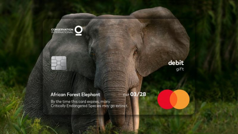 Mastercard alerta sobre vida silvestre en extinción con esta campaña diseñada por McCann 2 mastercard2