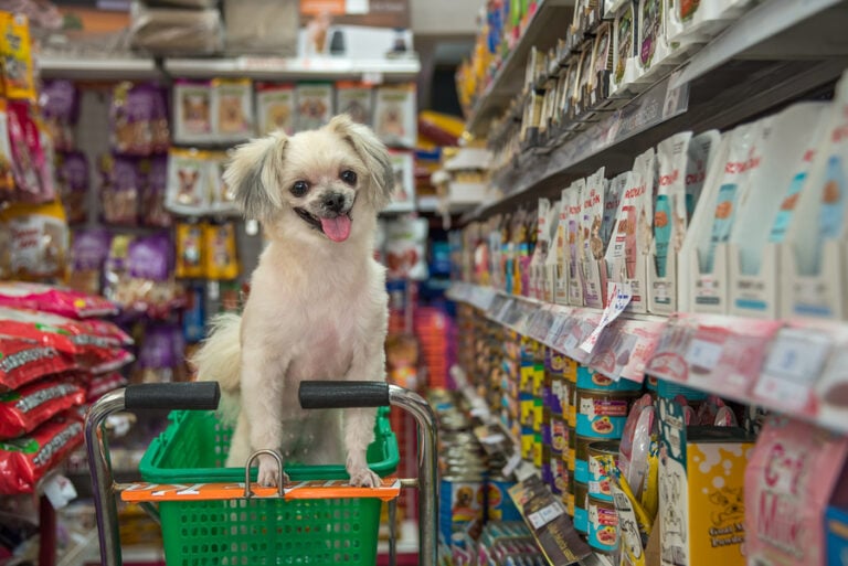 ¿Qué impulsa el mercado de petfluencers en medio de una crisis económica global? 1 Productos para mascotas