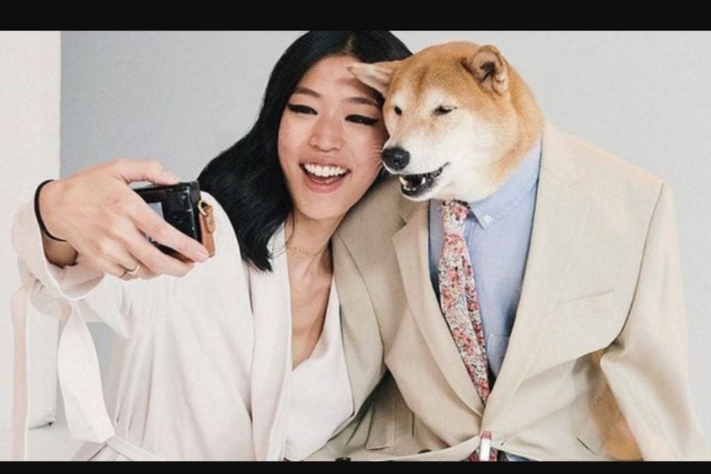 ¿Cuáles son los dogfluencers que se roban el patrocinio de las marcas? 2 Meme de un perro