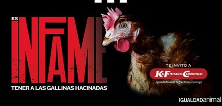 Campaña roba el logo de KFC para manifestar que es “infame tener gallinas hacinadas” 3 2021081909285150413