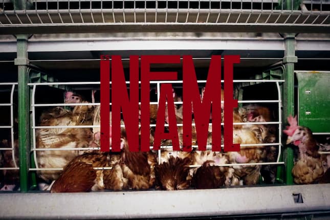 Campaña roba el logo de KFC para manifestar que es “infame tener gallinas hacinadas” 1 IA KFC 2 1