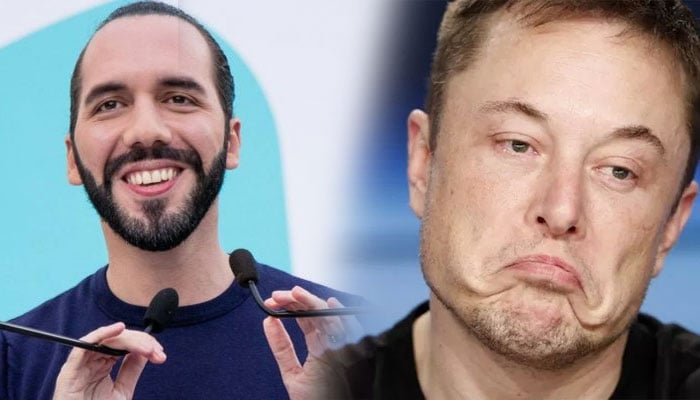 Elon Musk y Bukele