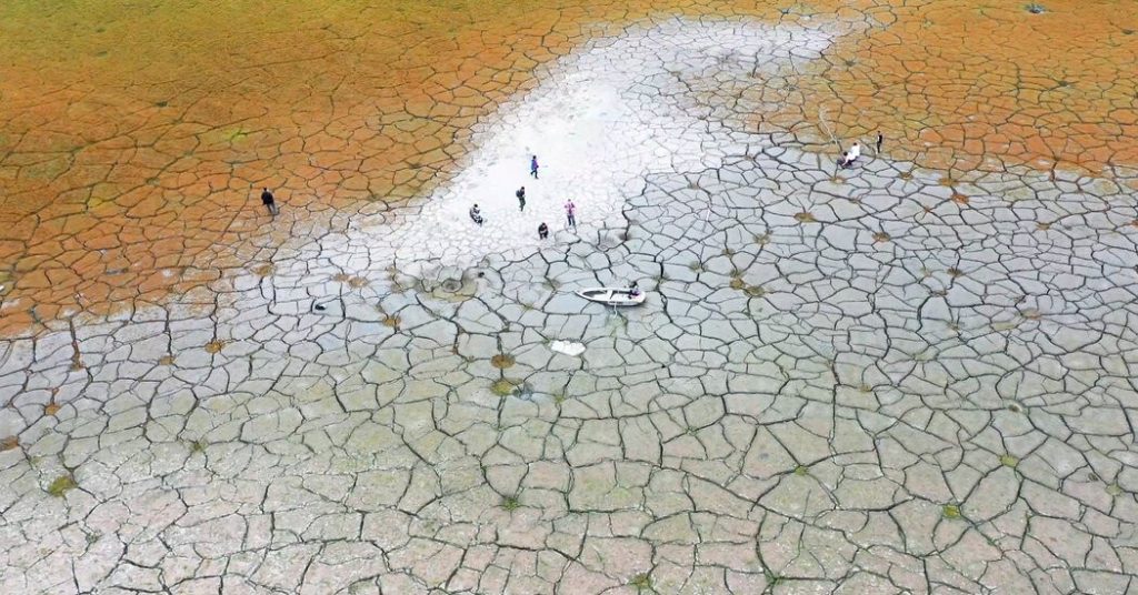 La paradoja de los autos eléctricos: 150 mil toneladas agua por un vehículo más sostenible 3 chips para autos electricos