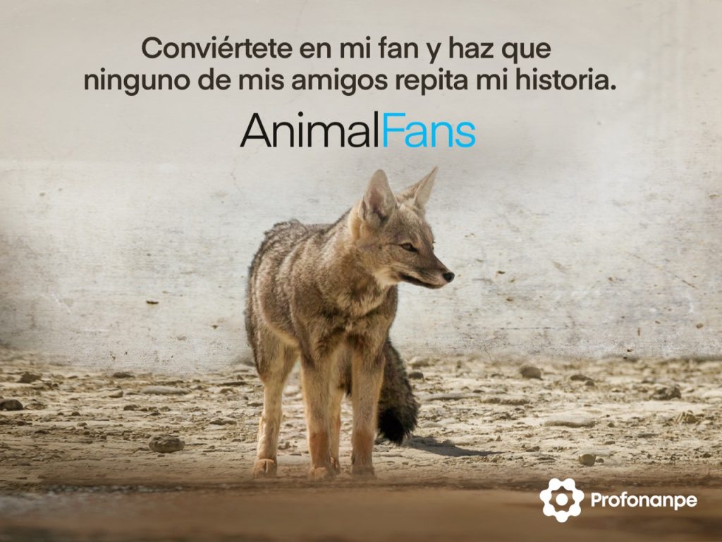 WhatsApp Image 2021 11 10 at 09.48.32