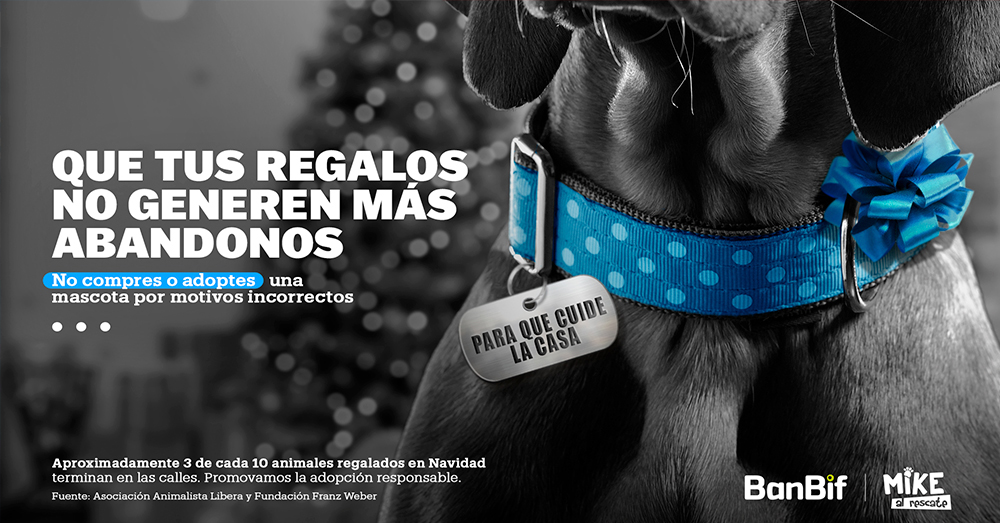 placas responsables la campana que promueve la adopcion responsable de mascotas y lucha contra el abandono
