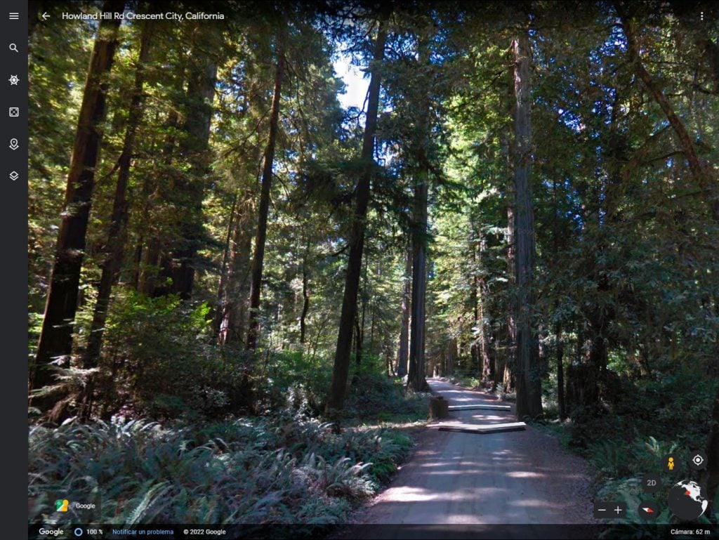 Parque Nacional y Parques Estatales de Redwood